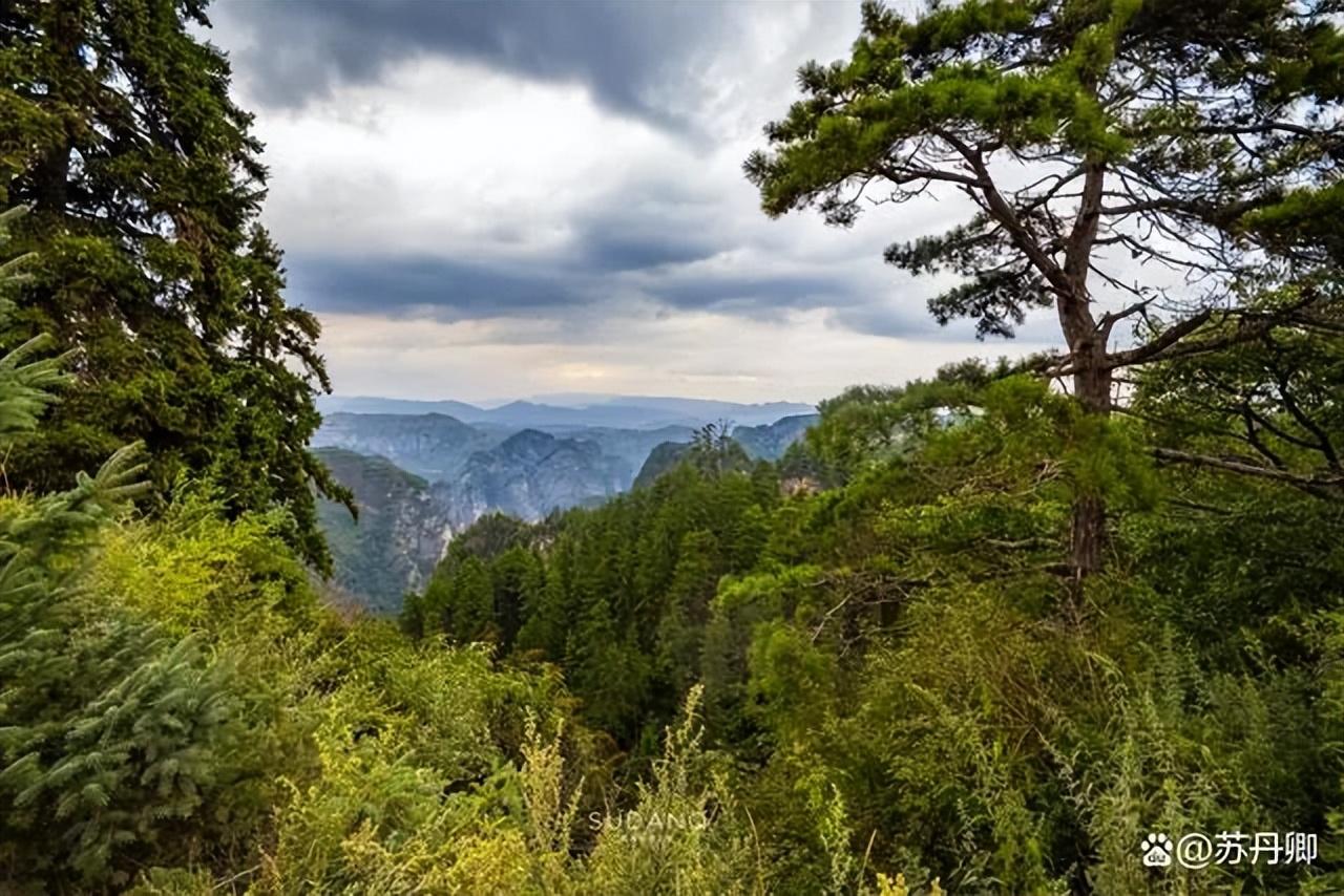 贵清山在哪里(贵清山简介)