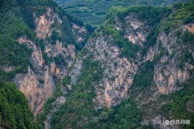 ​贵清山在哪里(贵清山简介)