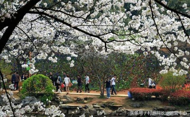 5、永新县红岩森林植物园