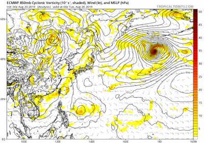 ​11号台风白鹿路径图  11号台风白鹿为什么上热搜