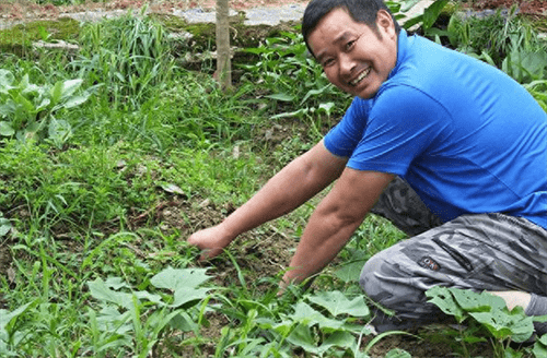 怎样自制除草剂(如何制作除草剂)