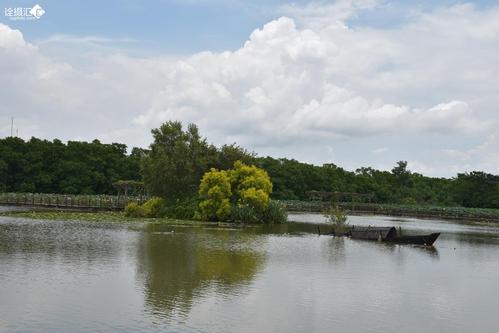 三、广州南沙湿地公园