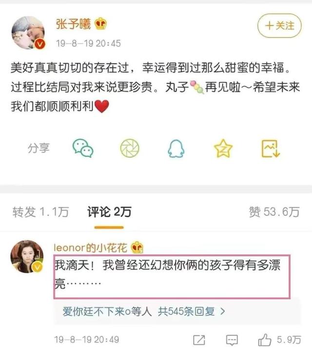 王思聪的前女友们怎么样了（甜仇官宣分手赚人气）(23)