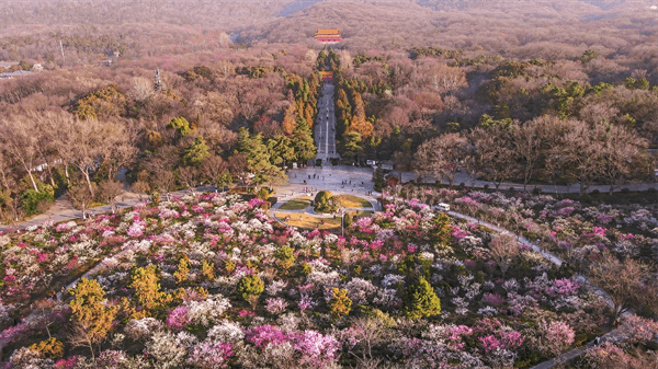 春天的节气有哪些(盘点春天的6大节气)