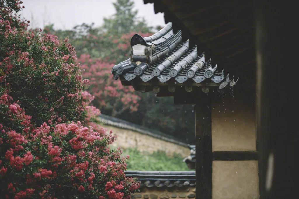 描写春雨的歌曲(哪些歌曲是描述春雨情景的)