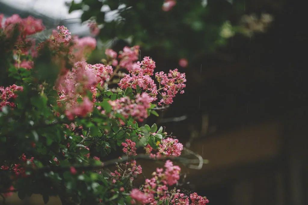 描写春雨的歌曲(哪些歌曲是描述春雨情景的)