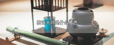 ​茶艺师的理解和感悟 茶艺师的理解与认识