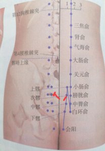 ​每日一穴-次髎穴