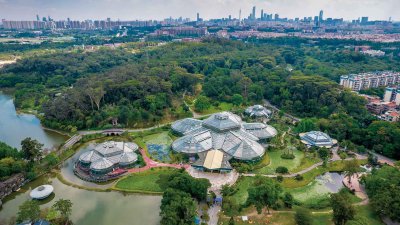 ​以植物命名的地方有哪些城市 以植物命名的地方有哪些名字