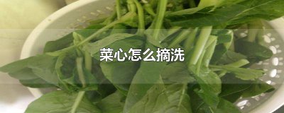 ​菜心怎么剥 怎样洗菜心