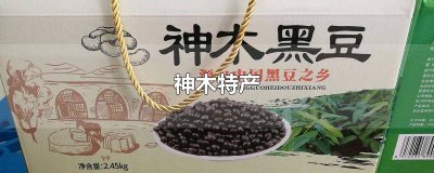 ​神木特产食品 神木有什么土特产