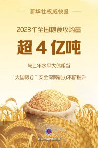 ​2023年全国粮食收购量超4亿吨