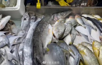 ​海鲜不能和什么一起吃 这些东西和海鲜天生不和 海鲜美味以下禁忌要牢记