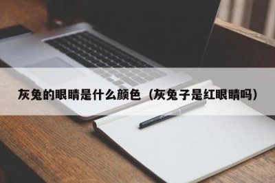 ​灰兔的眼睛是什么颜色（灰兔子是红眼睛吗）