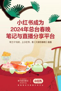 ​拿下春晚！小红书2024年豪赌电商