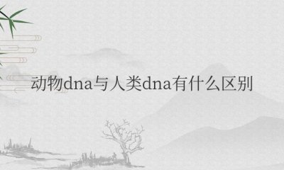 ​动物dna与人类dna有什么区别和联系