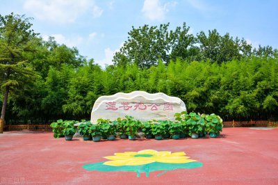 ​北京莲花池公园（北京莲花池公园门票）