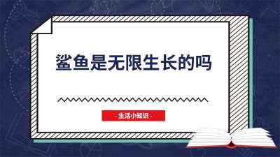 ​鲨鱼无限生长是什么意思 鲨鱼不会停止生长