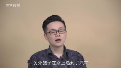 ​傻狍子是什么意思图片 傻狍子是什么意思黄麂