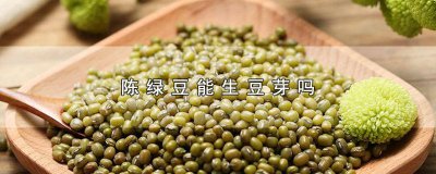 ​陈的绿豆能发芽吗 绿豆发的豆芽有毒吗