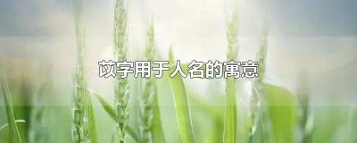 ​苡字取名的意思和含义 苡字名字寓意