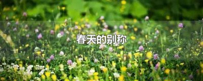 ​春天花的别称和雅称 春天的雅称是什么?