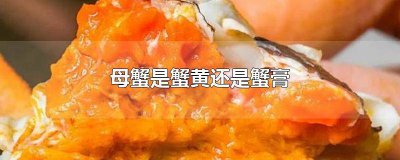 ​螃蟹的蟹膏和蟹黄是什么颜色 螃蟹的蟹膏和蟹黄是什么样的