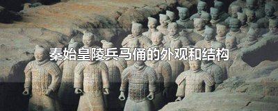 ​秦始皇陵兵马俑的特点50字 秦始皇陵兵马俑的外形特点100字