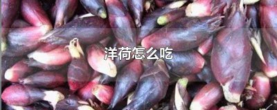 ​洋荷怎么吃? 洋荷怎么吃的营养价值