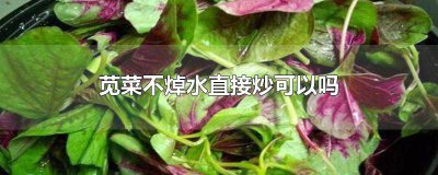 ​苋菜炒之前用不用焯水再炒 炒苋菜一定要焯水吗