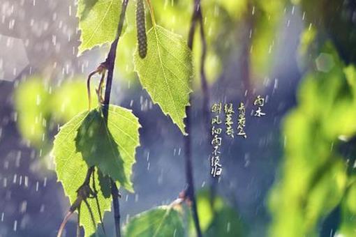 赏析10首写雨水的诗