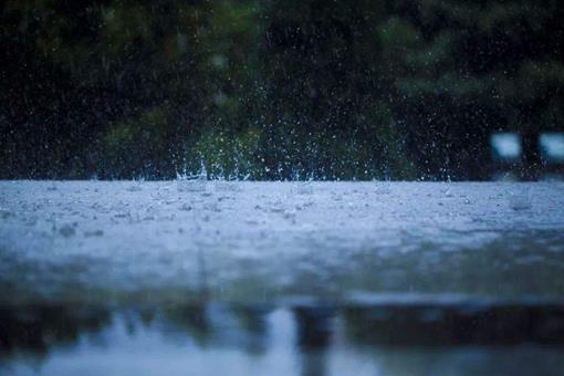 赏析10首写雨水的诗