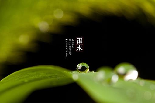 赏析10首写雨水的诗