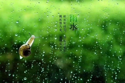 赏析10首写雨水的诗