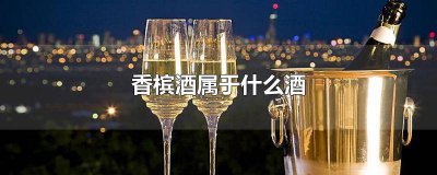 ​香槟酒是什么酒价钱 香槟酒一般多少钱一瓶