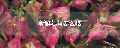 ​新鲜菱角怎么吃煮 新鲜菱角怎么吃法