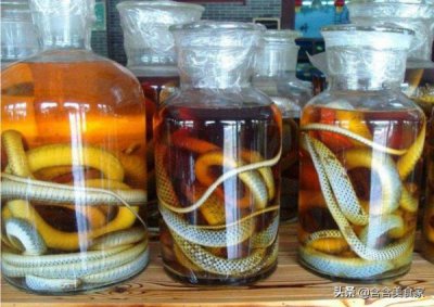 ​黑蚁泡酒加什么药材(黑蚁泡酒加什么药材效果好)