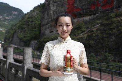 ​广东南台酒价格表52度(广东南台酒业价格表)