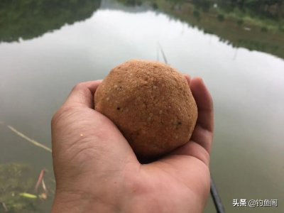 ​专攻大鲤鱼的饵料配方（自制钓大鲤鱼的饵料用什么配方）