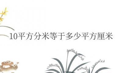 ​10平方分米等于多少平方厘米答案