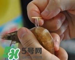 虾黄孕妇能吃吗？虾黄在哪个位置图解