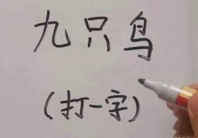 ​九只鸟猜一个字是什么（猜字谜九只鸟是什么字）