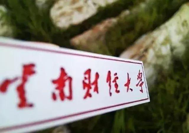 昆明这些“最好吃”的大学，来看看你的学校上榜了吗？