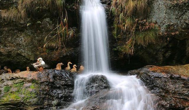 凭借山青水秀、洞幻石奇、而著称于世，湖南新邵白水洞