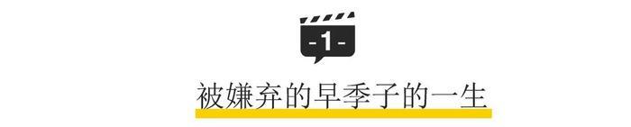 家暴、整容、杀人，被这女主刷新三观