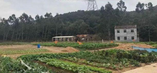 海边消夏，山中避暑，就去半城青山半城海的惠安吧！