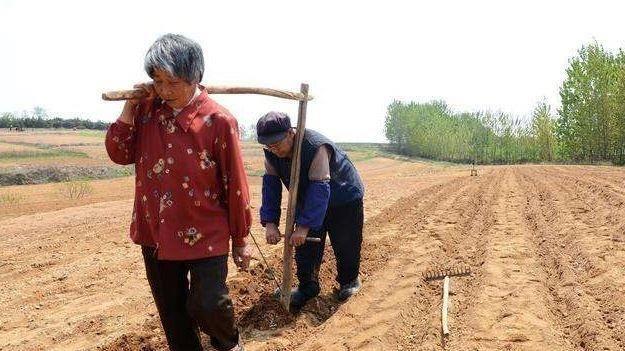 老人去世之后，土地确权该归谁？确权后，土地可以永久流转吗？