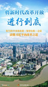 ​将新时代改革开放进行到底——从72次中央深改委（领导小组）会议读懂习近平的