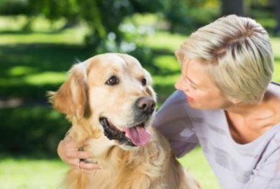 ​萌犬大变图鉴？萌犬变变变所有图鉴