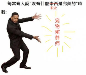 ​干宠物殡葬，能发财吗？